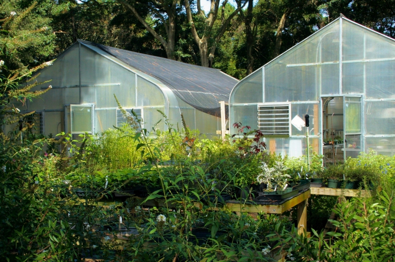 pepiniere-VALBONNE-min_greenhouse-60830