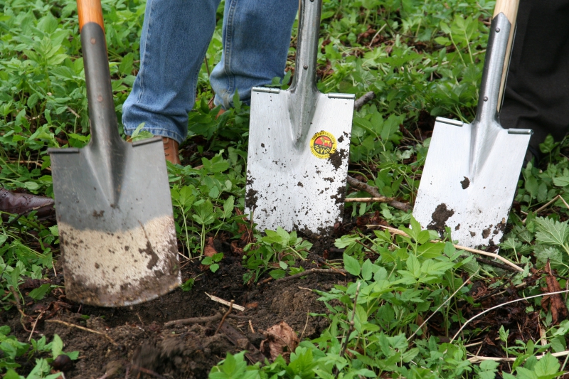 pepiniere-VALBONNE-min_work-lawn-flower-tool-green-backyard-1103633-pxhere.com